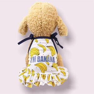  ̕ tėp ^Ngbv ʋCbV t[c^Ngbv L~\[ s[X  v`v ^ ^ ^