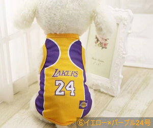  ̕ tėp ^Ngbv ʋCbV TbJ[jtH[^Ngbv  v`v i ^ ^ ^