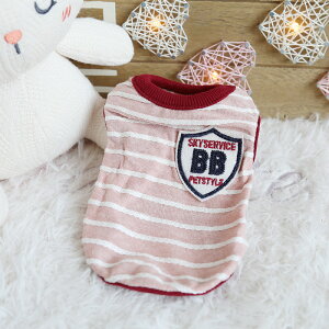 ep(XXS,XS) H~ t {[_[^Ngbv ̕ ʕ t[c xXg m[X[u Ȃ R L h gɏTCX ps[