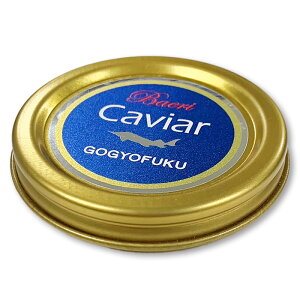 �t���b�V���L���r�A�@�o�G���yKOBE�ދ����z ���� ���܂� �ɂ߂� �L���r�A �܂� �ӎ� �I�[�h�u�� ��������