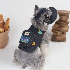 犬 ハーネス リードセット メッシュ 軽量 バッグ付き ポケット付き 脱げにくい 小型犬 胴輪 迷子防止 アウトドア