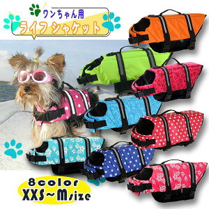 񂿂p CtWPbg ^ ^  V C  ~ j ybg p ^ jK ybgt[eBOWPbg xXg CtxXg