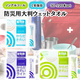 防災 ウェットタオル 1年 長期 保存 体拭きシート 大判 厚手 個包装 使い捨て からだふき 汗拭き 濡れタオル 無香料 無着色 ノンアルコール 低刺激 赤ちゃん 子ども 高齢者 介護 水のいらない 全身 清拭 シート 災害 グッズ レンジ 冷蔵庫 対応 トーヨ 国産 1袋 2袋 3袋 4袋