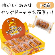 ヤングドーナツ 箱 買い 20個 業務用 宮田製菓 ミニ ドーナツ 大容量 まとめ買い 大人買い 懐かしい 昔な…