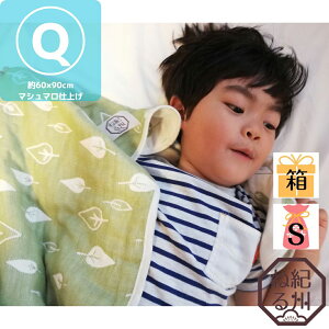 yyVX[p[SALE10OFFzyK[[Pbgz}V}dグ O͖ؖ6dD K[[Pbg [t NH[^[TCY xr[TCY { 60×90cm xr[Pbg Ԃ Q ۈ牀 