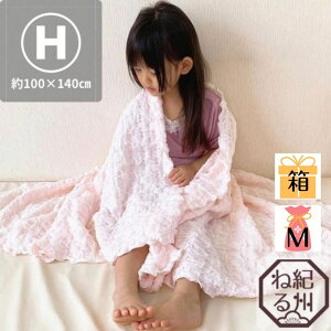 yyVX[p[SALE10OFFzyK[[Pbgzӂ炩u[[gp@K[[Pbg n[tTCY@100×140cm@ct@ۈ牀@Q@_炩