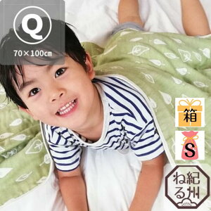 yK[[PbgzO͖ؖ6dD K[[Pbg [t NH[^[TCY xr[TCY { 70×100cm xr[Pbg Ԃ Q ۈ牀 ct  