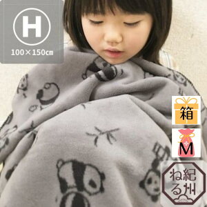 [uPbg]p_RbguPbg n[tTCY 100×150cm