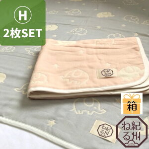 [K[[Pbgn[tTCY2Zbg]O͖ؖ6dD 񕿁@100×140cm@{@n[tTCY@K[[Pbg Q ۈ牀 ct  