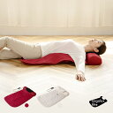 ナガラックスフィッテ