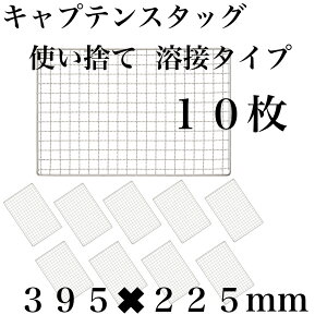 ĝ y3x􂦂z10g LveX^bO R Ă ւ ݊ 225×395mm p^ BBQ