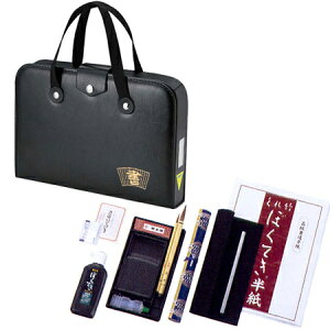| Zbg GA-540S  GA540-14 KZbg w wZ j̎q ̎q n[hP[X KZbg