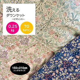 洗える ダウンケット 羽毛肌掛けふとん シングル ダウン70％ 0.25kg ヒヤシンス 夏掛け ウォッシャブル 夏用 夏布団 羽毛肌掛け 30マスキルト 羽毛が片寄りにくい 布団 薄い羽毛 羽毛布団 洗える掛け布団 掛け布団 軽量 やわらか生地 room&room 52303