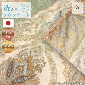 洗えるダウンケット ポーランド産 シルバーダックダウン90％ 羽毛布団 レナーテ 羽毛肌掛け布団 シングル 0.3kg 羽毛30マス room&room 52603 52604