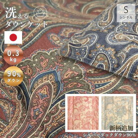 【ネット限定】新柄追加 洗えるダウンケット ポーランド産 シルバーダックダウン90％ 日本製 羽毛布団 エリオット レナーテクンシャン 羽毛肌掛け布団 シングル 0.3kg 羽毛30マス room&room 52607 52608 52603 52604