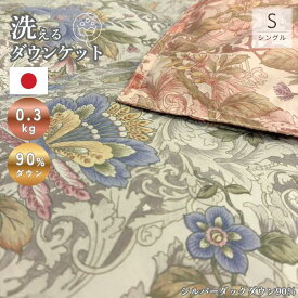 洗えるダウンケット ポーランド産 シルバーダックダウン90％ 日本製 羽毛布団 モーリア 羽毛肌掛け布団 シングル 0.3kg 羽毛30マス room&room 52601 52602
