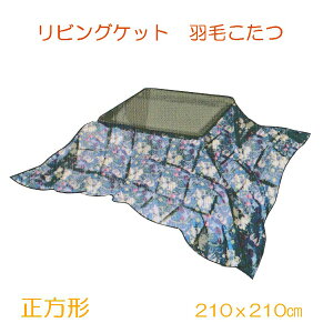 HтӂƂ ` rO _EPbg _E50 0.8kg  GRebNX m[[ 1622168