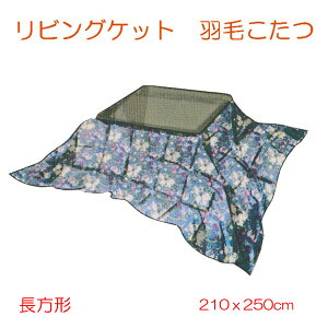 HтӂƂ ` rO _EPbg _E50 0.96kg  GRebNX m[[ 1622169