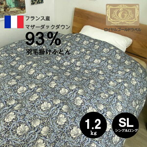 Hѕzc tXY}U[_bN_E93 sp[l { VO 1.2kg _Ep[410dp CS[hx p[AbvH cCLg 2w AGH |zc@