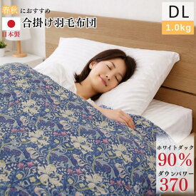 【特別価格】日本製 合掛け 羽毛布団 ホワイトダックダウン90％ 1.0kg ダブル ダウンパワー370 ノワールリリー 立体キルト 程よい軽さ 春 秋 羽毛ふとん room&room 422081