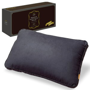 �v���~�A�� �z�e���X�^�C���s���[