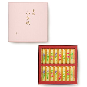 y[\NzX胍[\Nu[fvip^ 16{jRĎ80yɗD[\NzyG胍[\NzE\N Lh  Y LC Gt X ip 䋟 