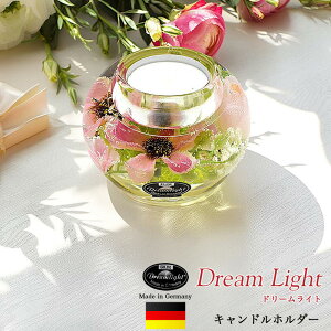 y[\Nzh[Cg Uki}[L[S^jyKXLhz_[zyhCczynhChizE\N [Lh S S ꂢ 킢 i 