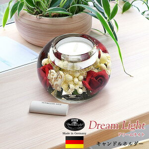 y[\Nzh[Cg veB[Yi}[L[S^jyKXLhz_[zyhCczynhChizE\N [Lh S S ꂢ 킢 