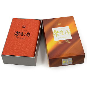 yzuڍvoyVRؔzzyEhzz 񂱂 h тႭ VR  ip Mtgp p