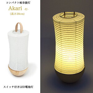 y~񓔁zu񓔁uAkari --vy򕌒񓔁zyR[hX^CviLEDdljzyRpNgi28cmjzu ~ ~ 䋟 i _ }V rO 