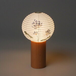 y~񓔁ztoccoigbRj nXi20cm a11cmj{^񓔁yLED/R[hX/[dzygݗĕsvz[J[F㕧d_   ꂢ 킢 ~jd 