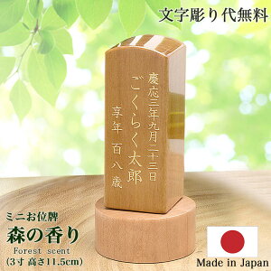 y|Cg10{ Gg[Łzy薳z3iS11.5cmjwX̍ i`xʔv RpNgʔv ؈ʔv 킢ʔv {ʔv  Vv _ʔv 