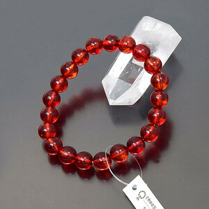 wbh {߁i͂juXbgx߃uXbg r O uXbg uXbg uXbg Ao[uXbg ͂uXbg uX