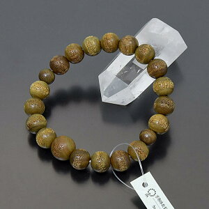 wpTgiȂjuXbgxʎSodl10~ʏ򉻃uXbg{Βh O ؐuXbg r uXbg uXbg o uXbg 