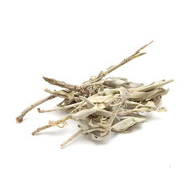 【香木】ホワイトセージ（White Sage） クラスター 10グラム入り★無農薬★最高品質クラスター※カリフォルニア産スマッジング ホワイトセージスマッジング 焚く お香 御香 浄化 浄化作用 清め ストレス発散 ストレス クリスタル浄化 リラックス