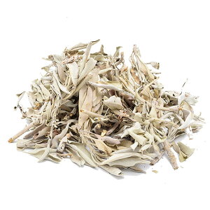 y|Cg10{ Gg[Łzy؁zzCgZ[WiWhite Sagej NX^[ 45Oy_^ōiNX^[zJtHjAYX}bWO   䍁  򉻍p