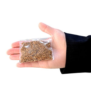 yhE؁z h12Oyhi݁j^CvzOEEčph č  čp  O  тႭ 