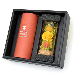 yiZbgzvU[uht[Eg̍̂ ZbgyzgtGIFT v[g    ~ 䋟 i   @  r͂ 䋟 