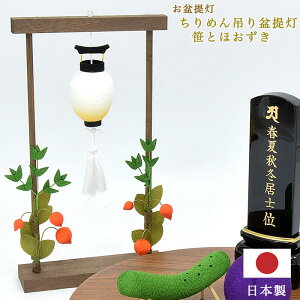 y~/~j񓔁zu߂~ Ƃقv݂艺ty{zi25.5cm 񓔌a4cm jƖ@\Ȃ_  ꂢ 킢  RpNg