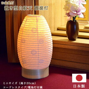 y~񓔁zu񓔁uVvyR[hX^CviLEDdrtjzyRpNgi20cmjzya\i䕿jzu ~ ~ 䋟 _ }V rO 