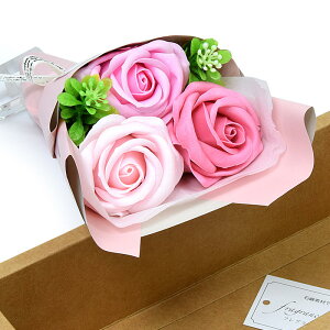 yip ԁz\[vt[u[P3 sNF   V{t[ ڂ Mtgp p ip rnKLԗ  ~ ފݕ v[g j