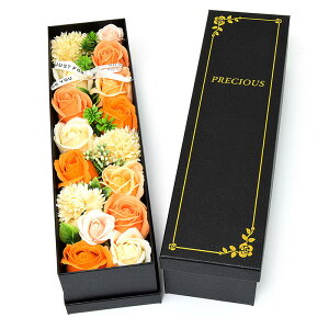 yip ԁz\[vt[XRtBOX IWF  V{t[ ڂ Mtgp p ip rnKLԗ  ~ ފݕ v[g 