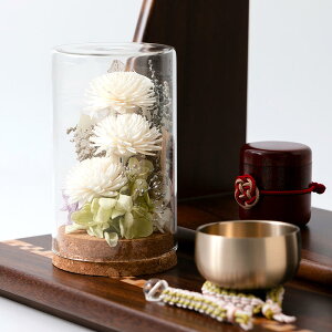 yԁzɗDԁu\vt[i12cmjyKXP[Xzi1{jsora GR SDGs GXfB[W[Y \ȊJڕW v[g   ~ ފݕ