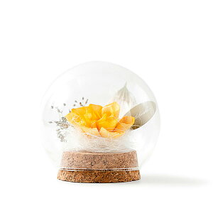 yu\vt[zɗD Glass Dome yellowi7.5cm/a8cmjyKXzsora GR SDGs GXfB[W[Y \ȊJڕW v[g   䋟 ~ ފ 킢