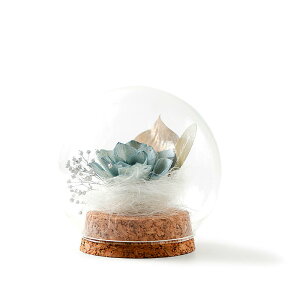 yu\vt[zɗD Glass Dome bluei7.5cm^a8cmjyKXzsora GR SDGs GXfB[W[Y \ȊJڕW v[g   䋟 ~ ފ 킢