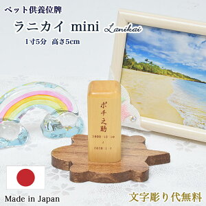 yGg[Ń|Cg10{zyybgʔvzYʔvy薳z15iS5cmjCވʔvwjJCxminiybg{ RpNg _  킢 lR L Ck  
