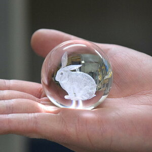 yNz-Kijia5cmjytzi 肢  ^C㏸ ^ d^ ƒ^ ƓS v[g \x N K e  ETM