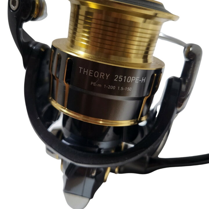 Daiwa セオリー2510PE-H