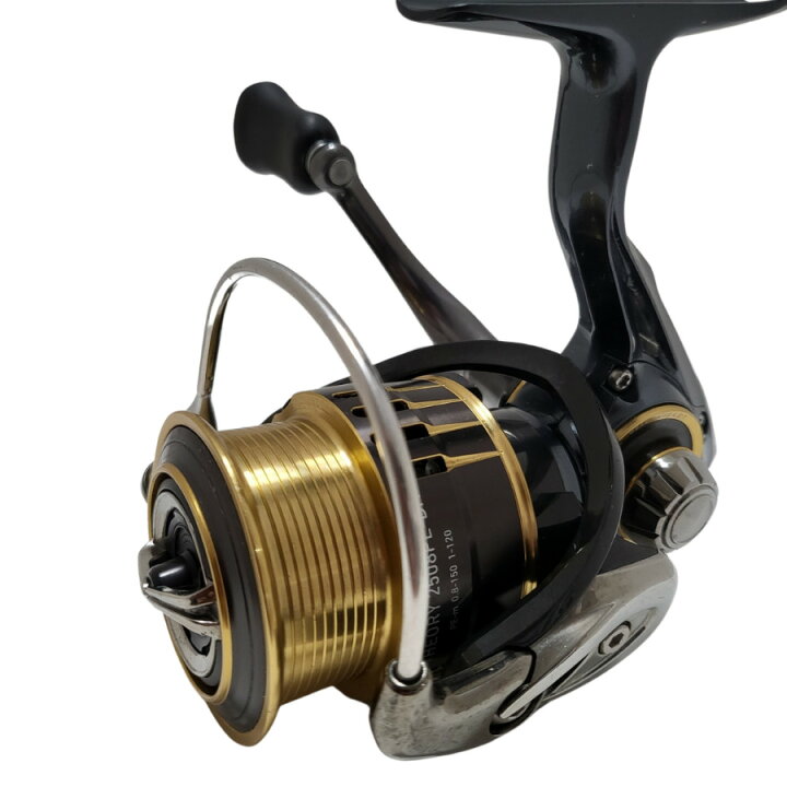 ダイワ(DAIWA) 17セオリー(THEORY) 2508PE-DH 17セオリー(THEORY 