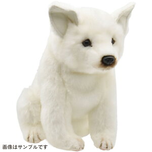 HANSA nT wbhJo[ kC HOKKAIDO INU FWp BH8354 tFAEFCEbhp NuJo[ ʂ  Aj} LN^[ Mtg StRy ii ܕi StObY v[g